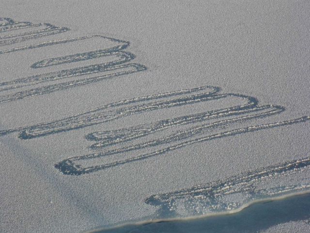Interlocking fingers of nilas ice covered with frost flowers. Picture