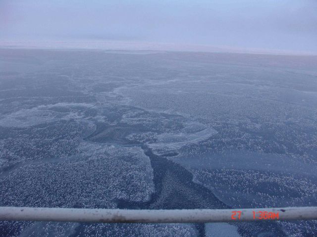 Nilas ice covered with frost flowers with the ice pack extending to the horizon. Picture