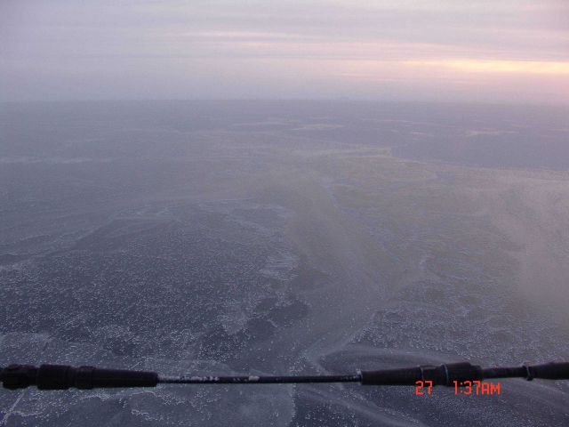 A large area of nilas ice with frost flowers Picture