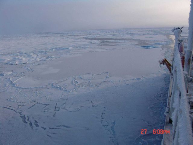 Healy traversing an area of floes of first year ice. Picture