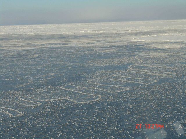 Nilas ice covered with frost flowers Picture