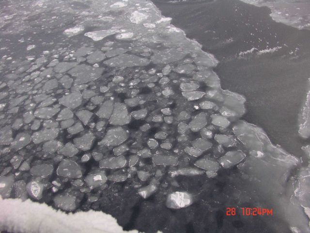 Small pancake ice Picture