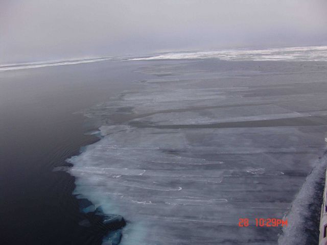 Frazil ice to left, rafting interlocking fingers of nilas to right, and ice floes extending to horizon. Picture