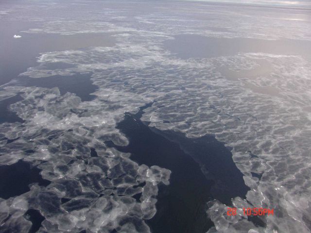 Interlocking pancake ice which with further freezing and jostling will form larger floes. Picture