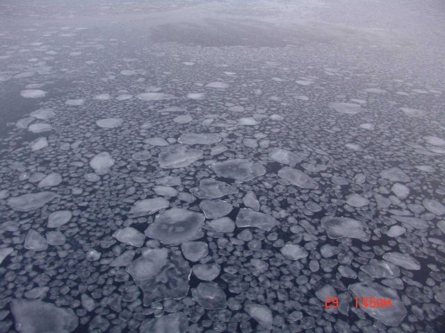 Pancake showing growth of pancakes which will ultimately form floes. Picture