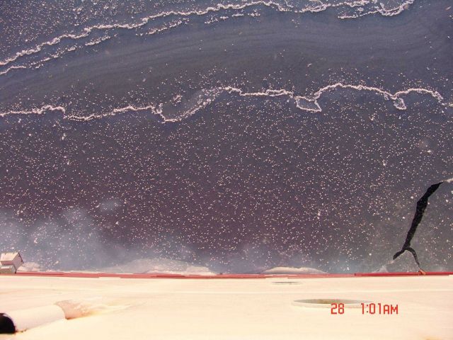 Nilas ice with frost flowers Picture