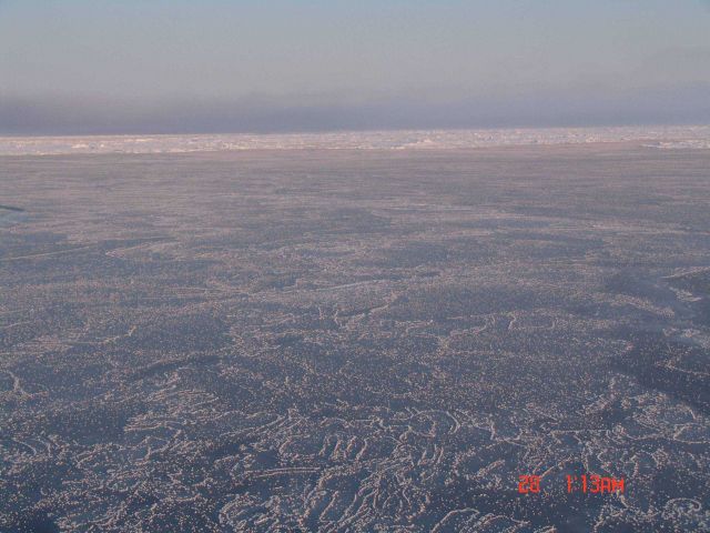 Interlocking fingers of nilas ice with frost flowers with ice pack of multi-year ice extending to horizon. Picture