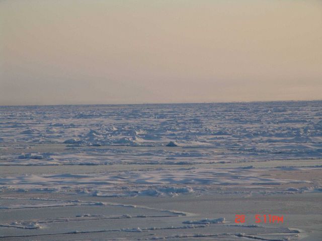 Multi-year ice floes extending to the horizon. Picture