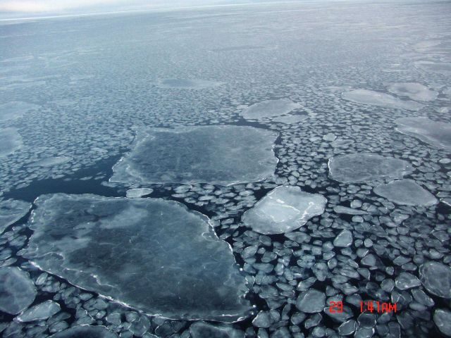 Small and large pancakes coming together to form ice floes. Picture