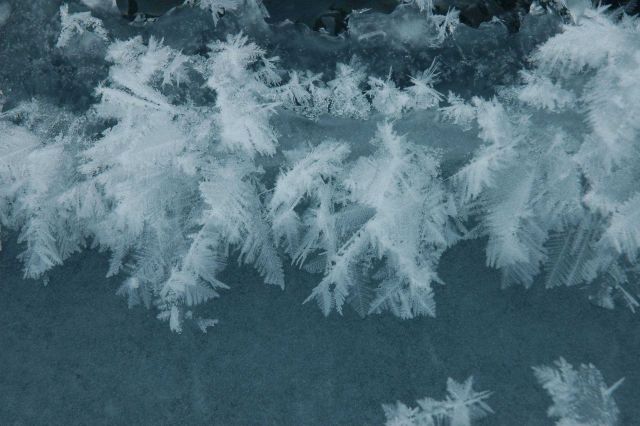 Beautiful ice crystals reminiscent of ferns developing in crack in ice pack. Picture