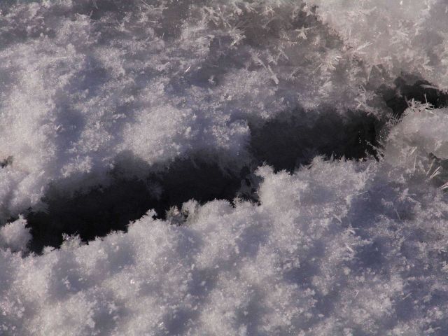 Ice crystals at small break in ice surface Picture