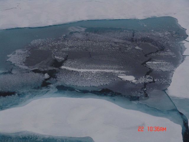 Ice crystals on top of refrozen surface of melt pool. Picture