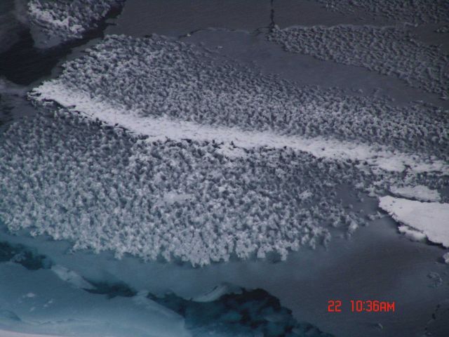 Odd arrangement of ice crystals reminiscent of honeycomb Picture