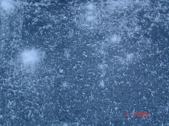 Short thick cylindrical ice crystals seemingly strewn about ice surface. Picture