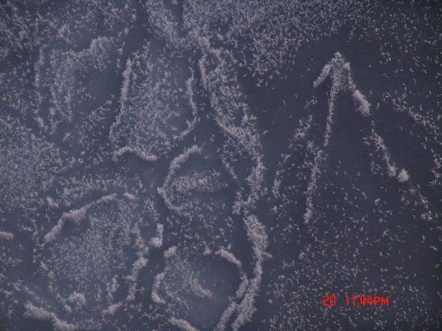 Ice crystals covering pancake ice. Picture