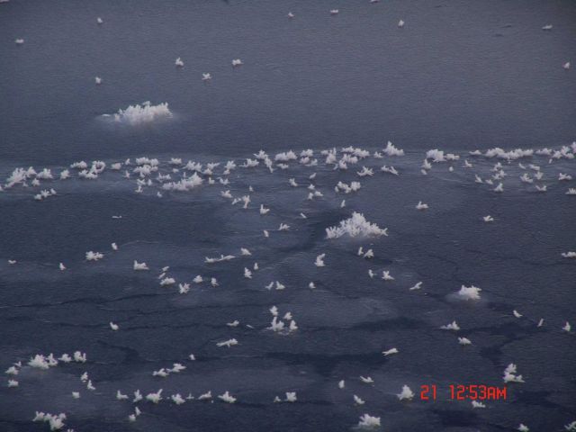 Ice crystals on frazil ice and agglomerating pancake ice. Picture