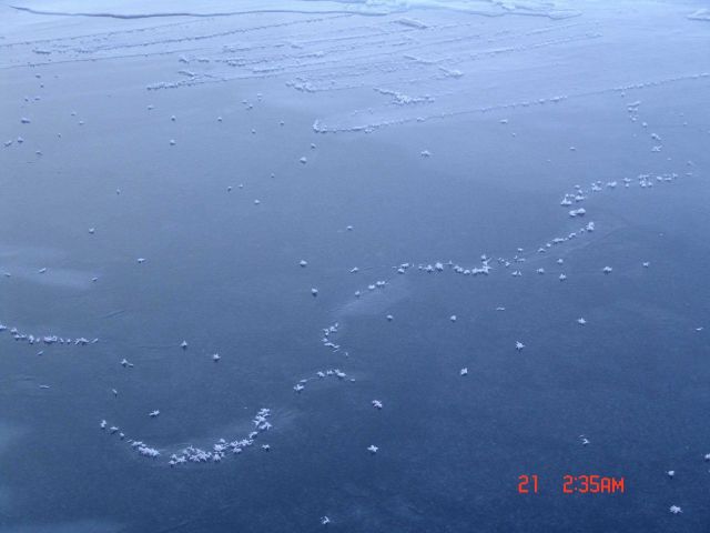 Ice crystals on nilas ice. Picture