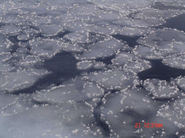 New ice pancakes with frost flowers Picture