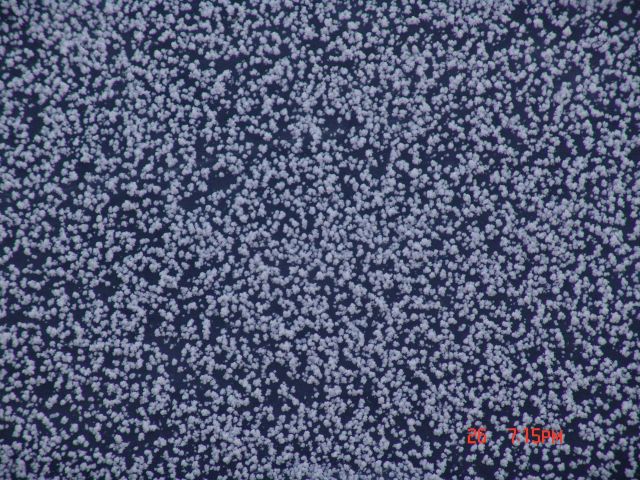 Graupel covering ice surface Picture