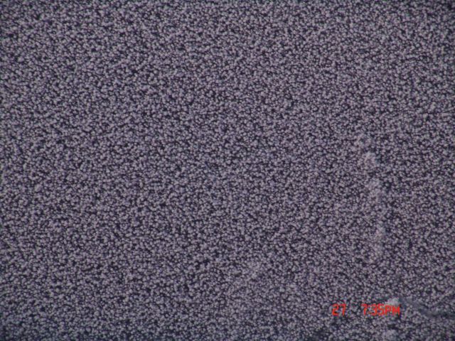 Graupel covering ice surface Picture