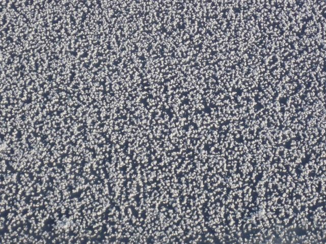 Graupel covering ice surface Picture