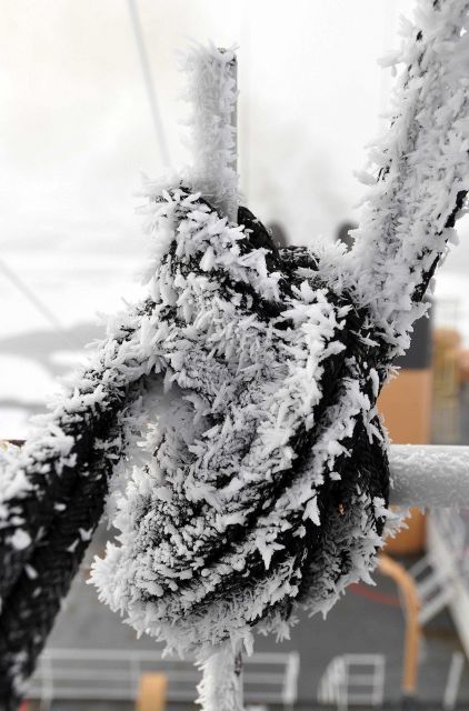 Rime on nylon line on USCG icebreaker HEALY Picture
