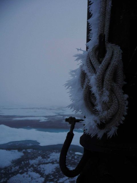Rime ice on nylon line Picture