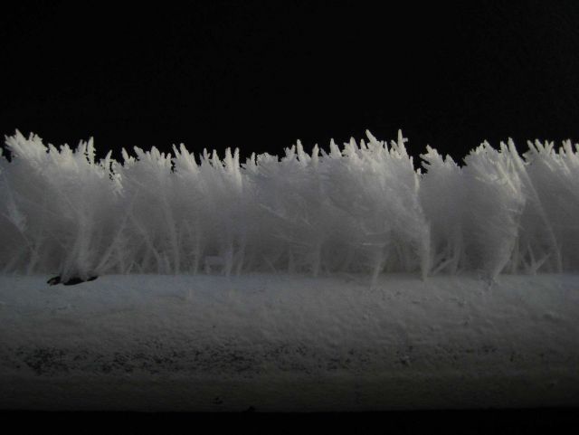 Rime ice on railing Picture