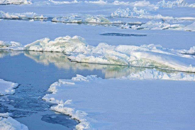 Arctic Ocean ice floes. Picture