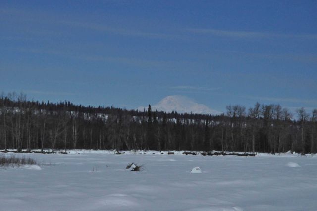 A scene along the Alaska Railroad Aurora Winter Train Picture