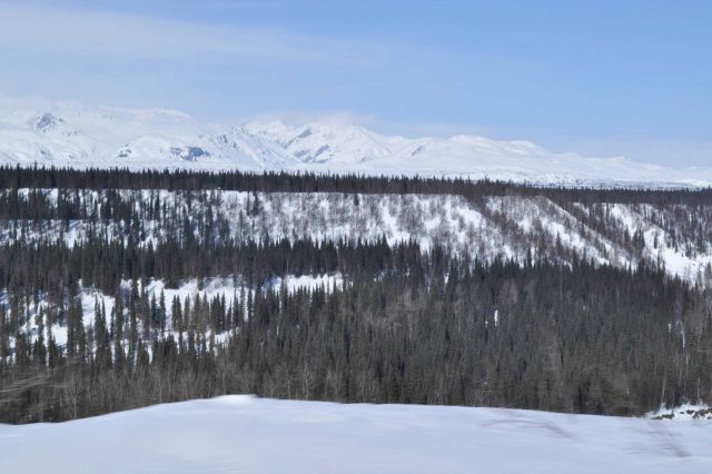 A scene along the Alaska Railroad Aurora Winter Train. Picture
