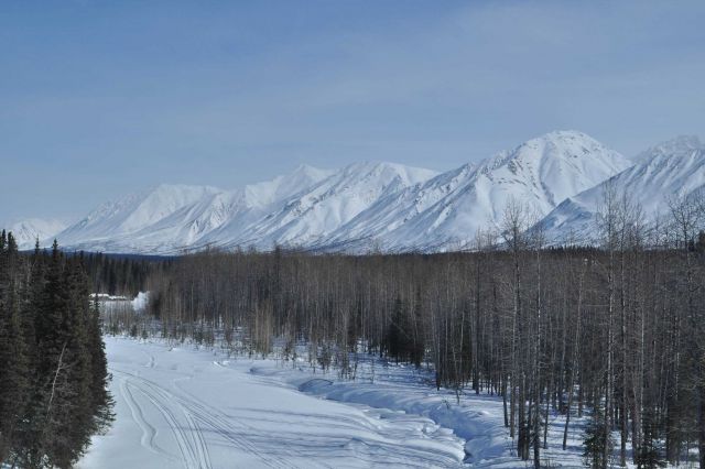 A scene along the Alaska Railroad Aurora Winter Train Picture