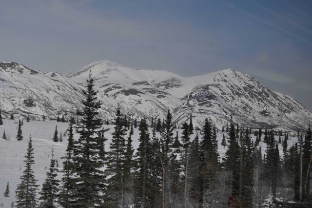 A scene along the Alaska Railroad Aurora Winter Train. Picture