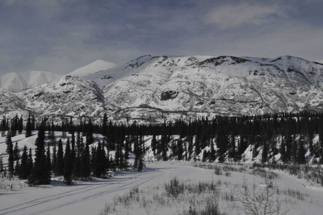 A scene along the Alaska Railroad Aurora Winter Train. Picture