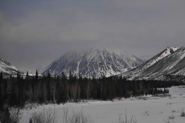 A scene along the Alaska Railroad Aurora Winter Train Picture