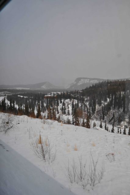 A scene along the Alaska Railroad Aurora Winter Train. Picture