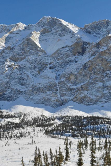 A scene along the Dalton Highway. Picture