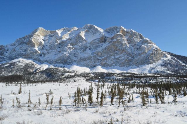 A scene along the Dalton Highway. Picture