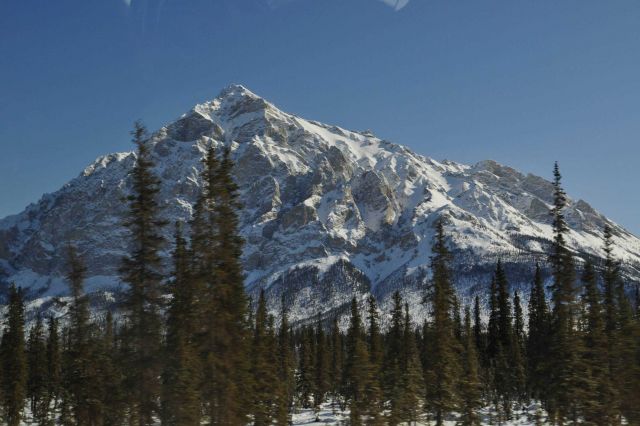 A scene along the Dalton Highway. Picture
