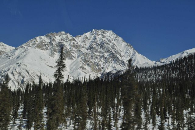 A scene along the Dalton Highway. Picture