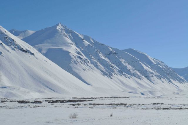 A scene along the Dalton Highway in the Brooks Range Picture