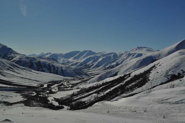 A scene along the Dalton Highway in the Brooks Range Picture