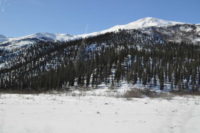 A scene along the Dalton Highway Picture