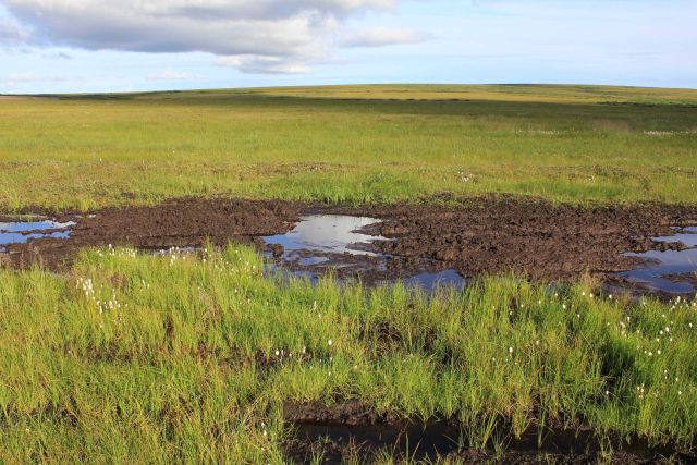 Melting tundra along the road to Pilgrim Hot Springs. Picture