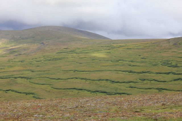 View of the high tundra from Skookum Pass Picture