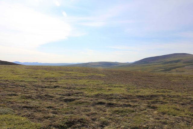 A view along the Kougarok Highway. Picture
