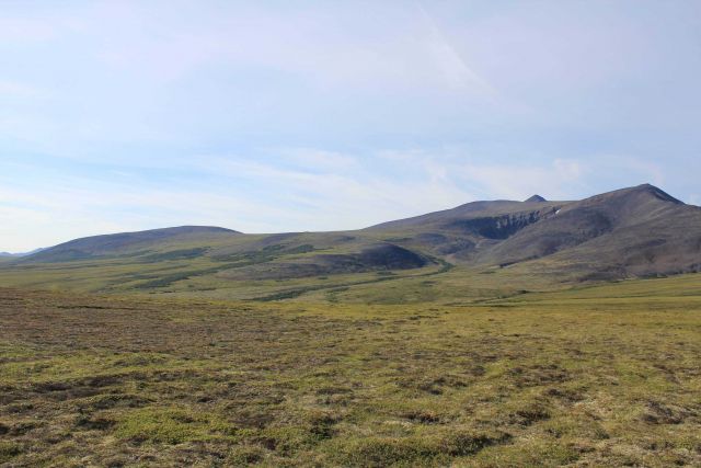 A view along the Kougarok Highway. Picture
