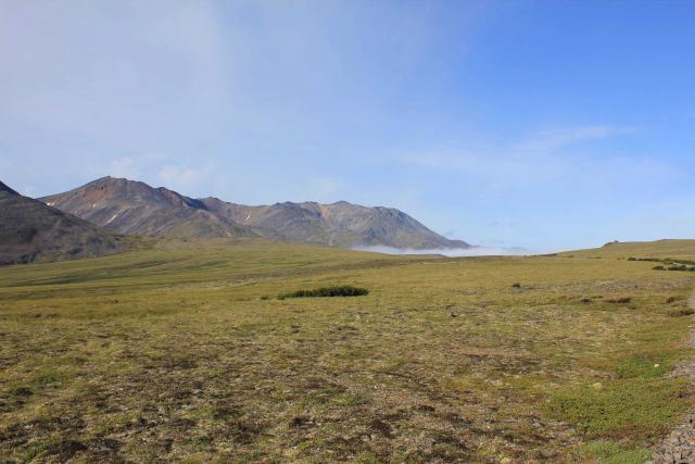 A view along the Kougarok Highway. Picture