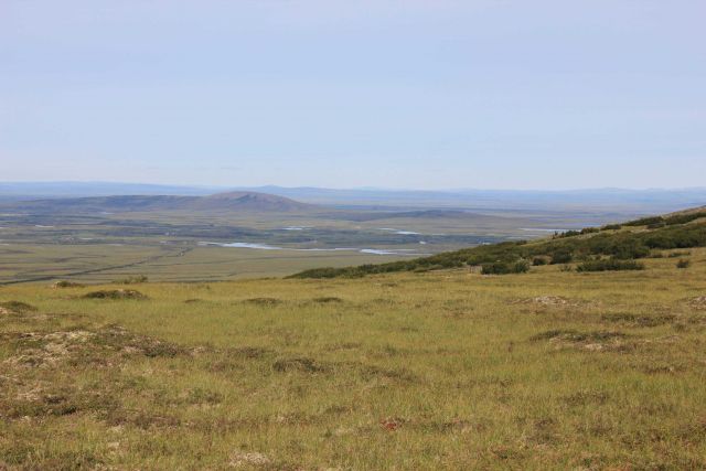 A view along the Kougarok Highway. Picture