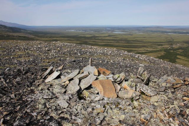 Frost-heaved lichen covered rocks interspersed with Arctic plants along the Kougarok Highway Picture